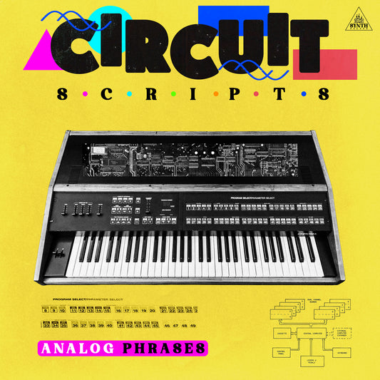 Circuit Scripts - Synth Phrases