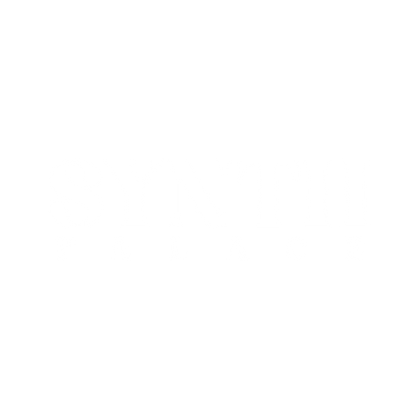 Synth Palace